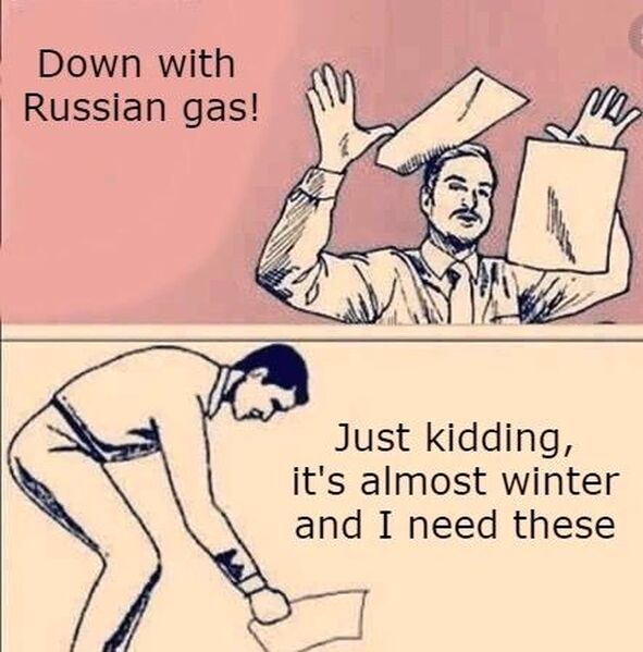 IMG 20231127 163655 539