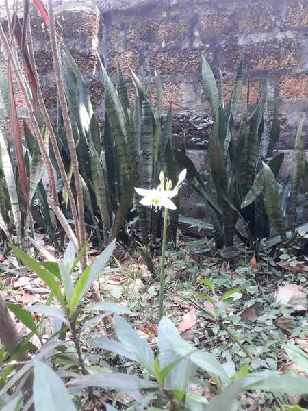 20230226 123211 20230226 123211