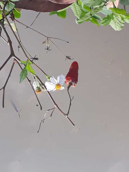 20210211 141505 20210211 141505