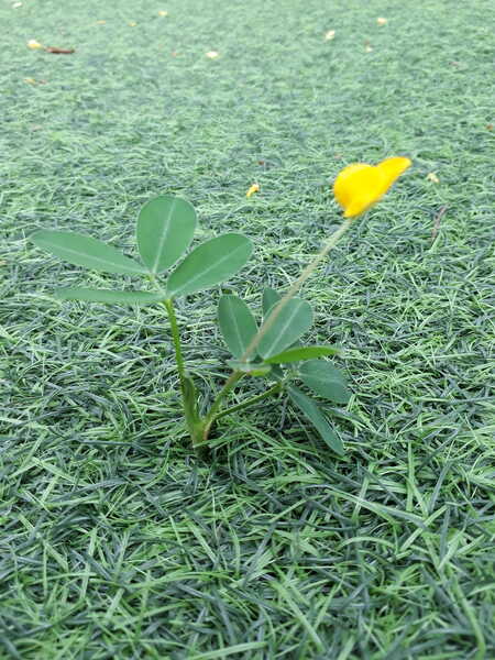 20170930 103913 20170930 103913