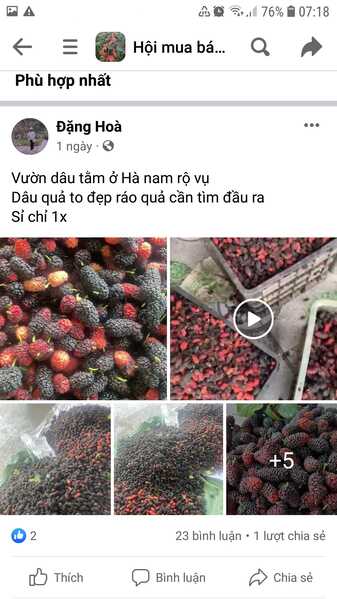 Screenshot 20230324 071824 Facebook Screenshot 20230324 071824 Facebook