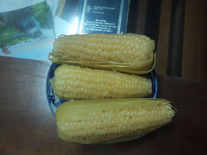 20230330 205936 20230330 205936