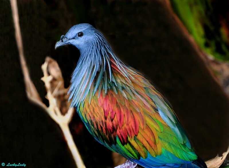 p0uzo288rvl41 p0uzo288rvl41