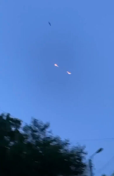 IMG 1840