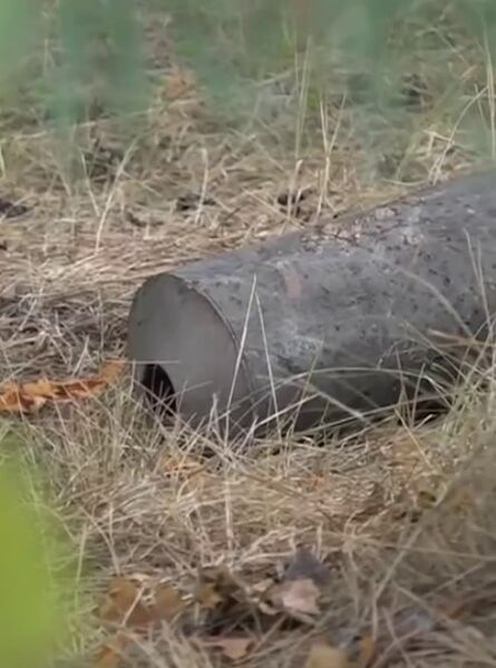 IMG 4490 IMG 4490