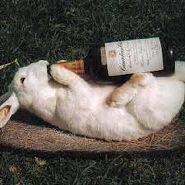 C5988C0A 225D 4AD1 8433 82561D861A69 C5988C0A 225D 4AD1 8433 82561D861A69