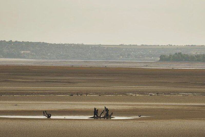 DBE8AEFC 5C4C 45C3 B620 52EB9CB12343