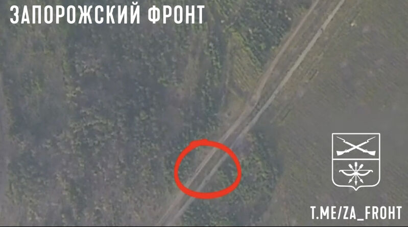 1C1CA919 B433 44C1 8FAD 4C29A68A8F2B