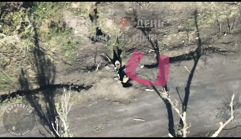 841CE7D8 3CE4 46AE 8712 26808A18FA2D