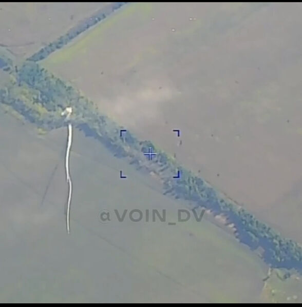 7D48FC4B 4205 45E6 8C98 D1B349B4A6A6