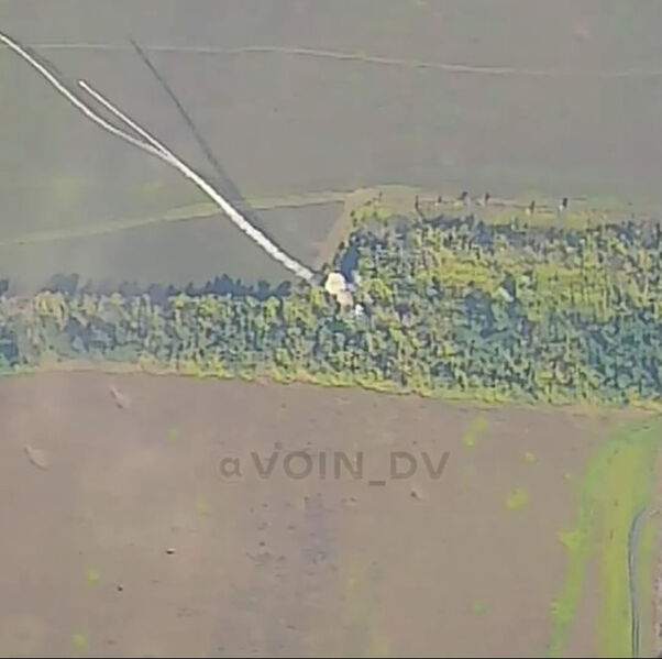 C04FFA55 5BA2 4D4E 8795 E883E7CFF540