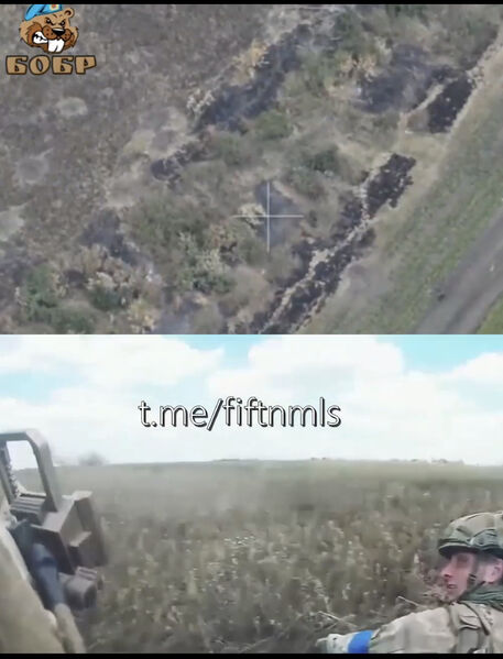 3F0A3318 8795 4128 B355 F74E6A661D4E