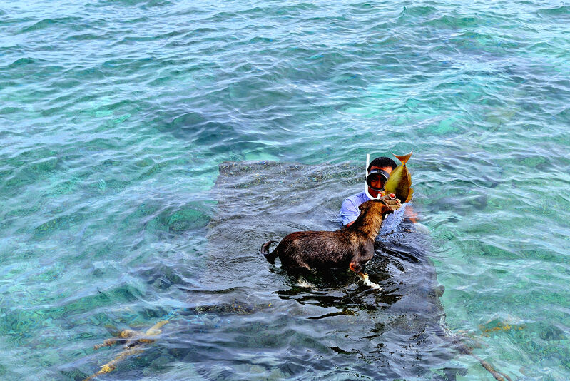 DSC 8563 DSC 8563