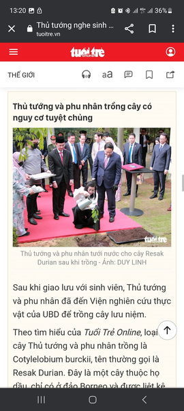 ảnh ảnh