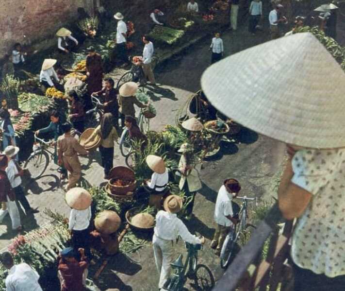 240158690 4052659828176409 5840012948537304118 n 240158690 4052659828176409 5840012948537304118 n