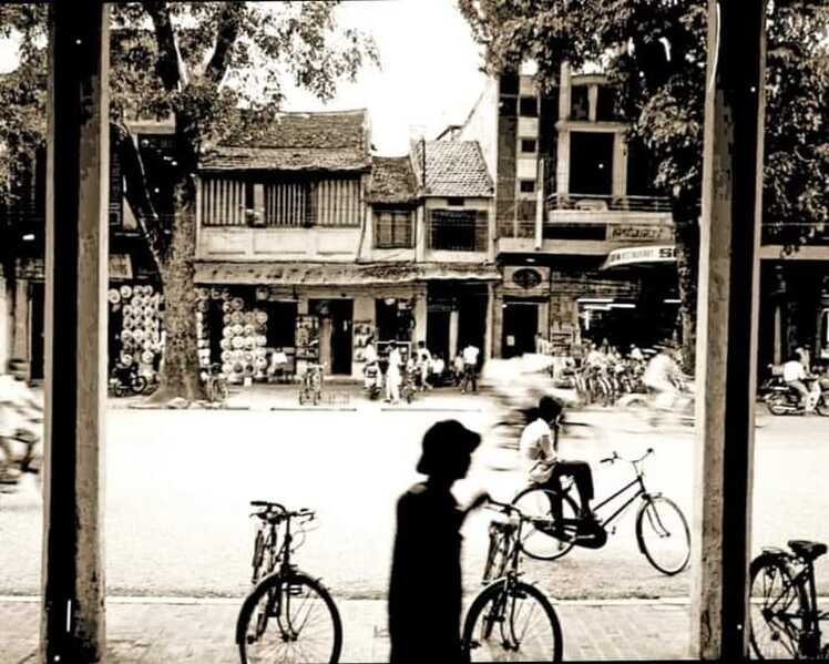 hàng bài nhìn từ BHTH   1991