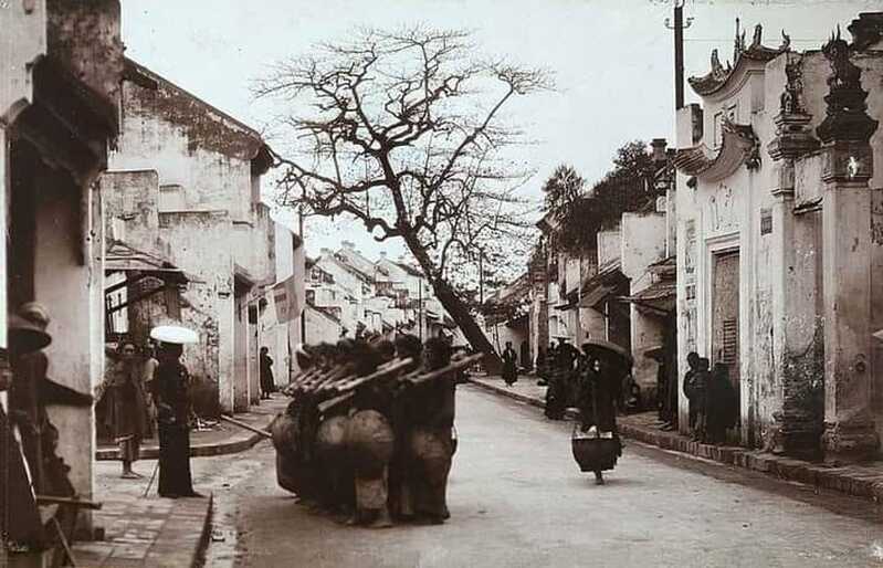 Mã mây 1905