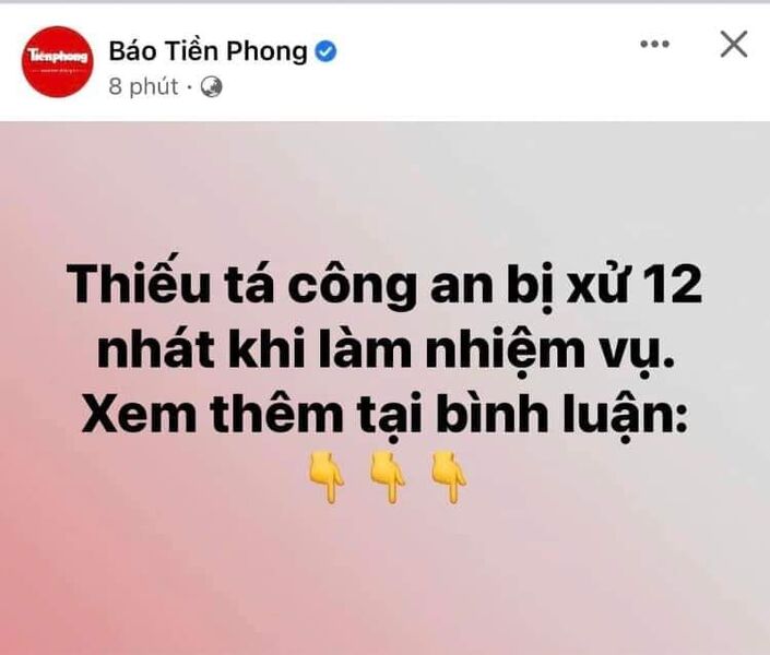 336724509 558826649394589 1616897736198339270 n 336724509 558826649394589 1616897736198339270 n