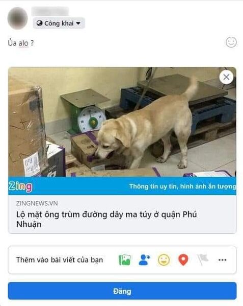 334026271 597260835772240 4565802420437144184 n