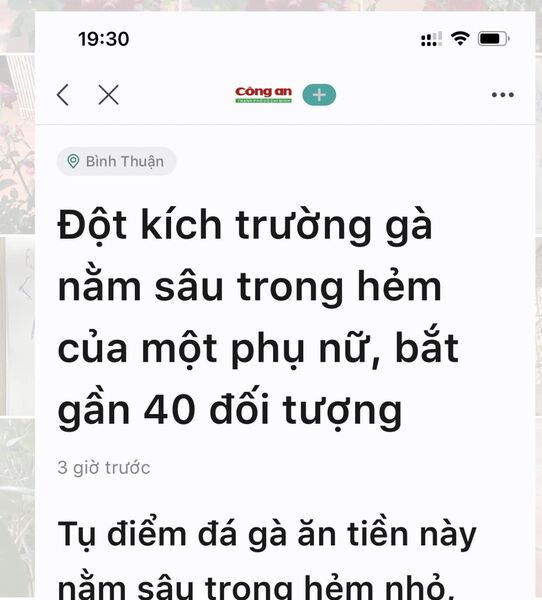 328772393 979211476383223 3528329806799153848 n