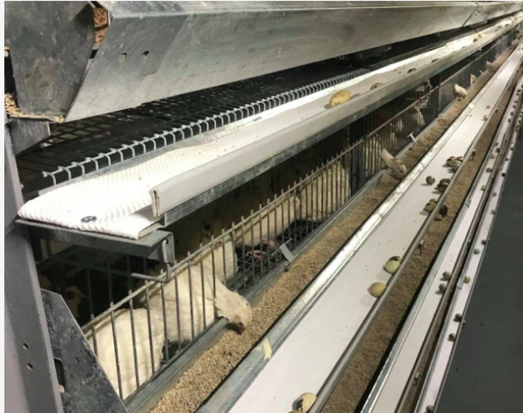 Screenshot from 2023 03 16 23 18 15 Screenshot from 2023 03 16 23 18 15