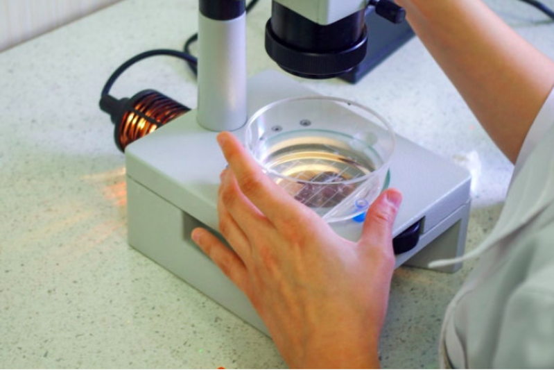 Screenshot from 2023 03 16 23 18 21 Screenshot from 2023 03 16 23 18 21