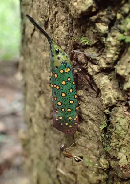 medium.jpeg medium.jpeg