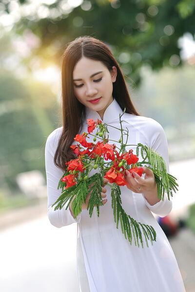 149699784168252 hoa phuong 3