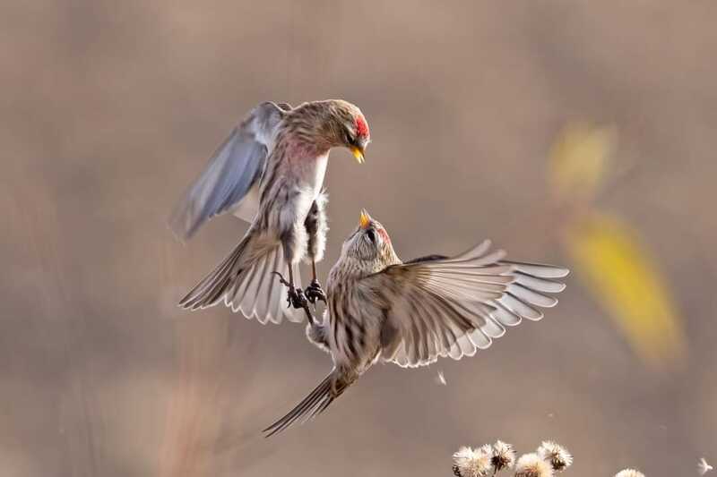 FB IMG 1676822389100 FB IMG 1676822389100