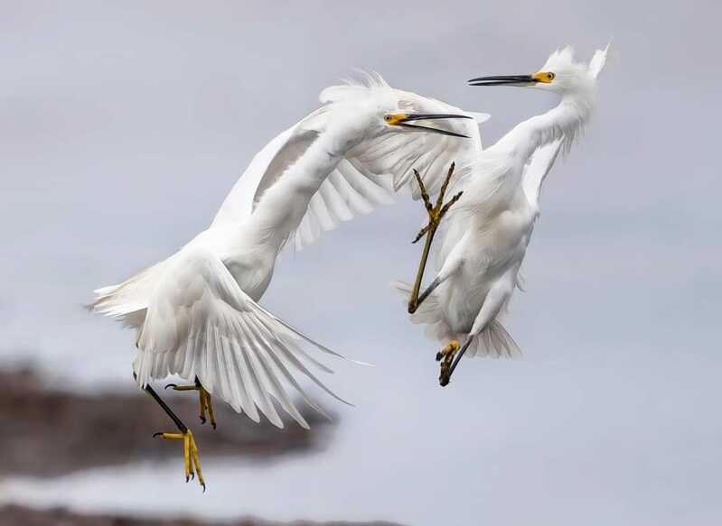 FB IMG 1676822405210 FB IMG 1676822405210