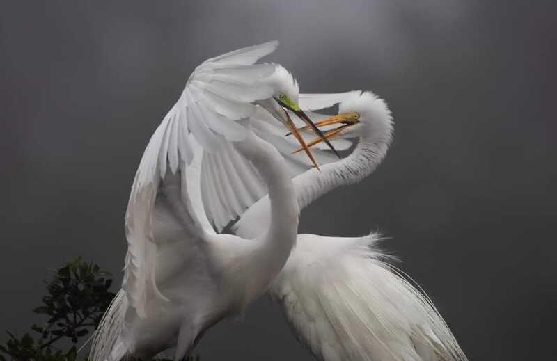 FB IMG 1676822961450 FB IMG 1676822961450