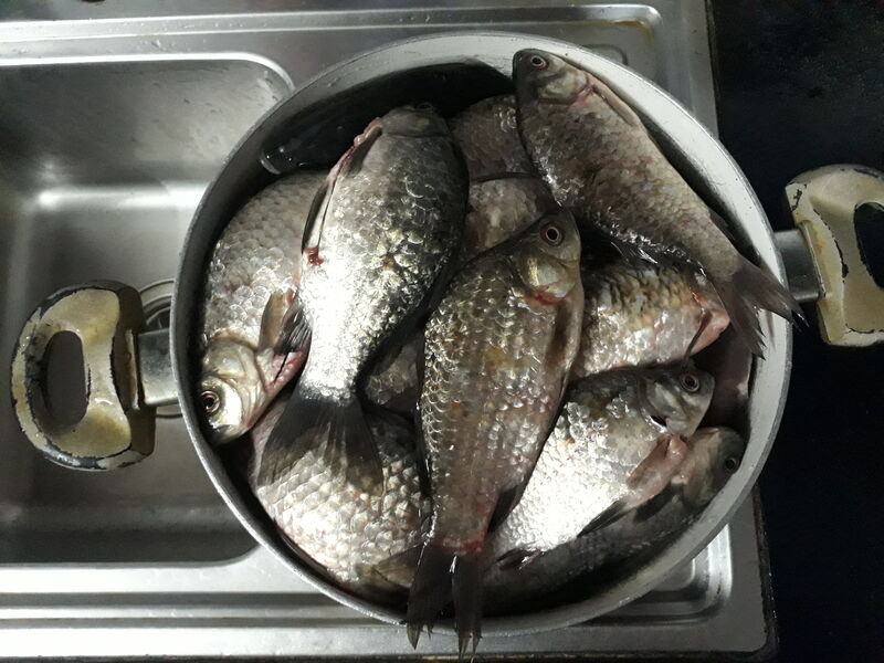 20230407 164511 20230407 164511