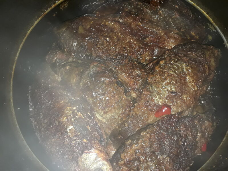 20230407 214124 20230407 214124