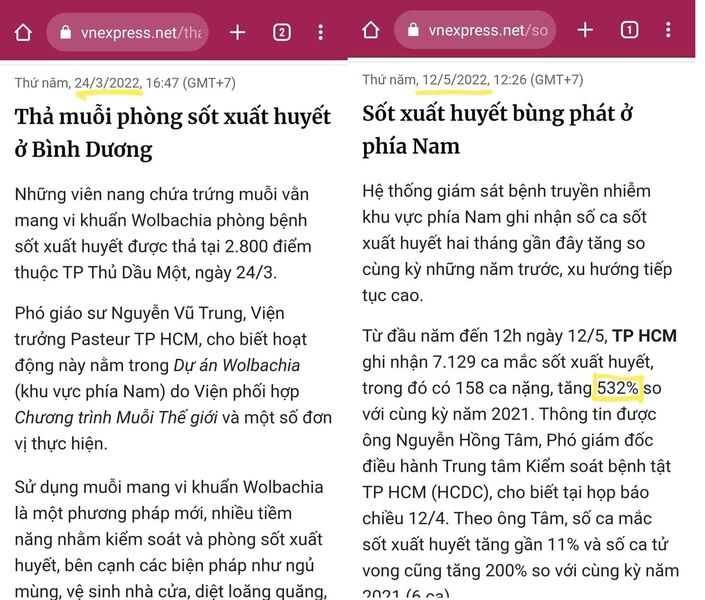 thả muỗi thành gây sốt rét