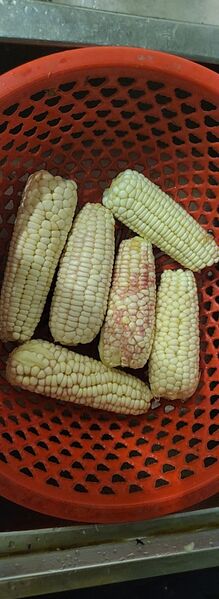 IMG UPLOAD 20230322 210930 IMG UPLOAD 20230322 210930