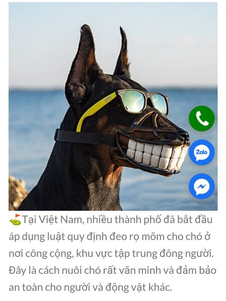 Screenshot 2023 05 07 10 03 01 239 edit com.android.chrome