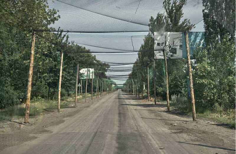 photo 2025 06 29 00 02 09