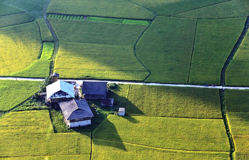 2E2F3726 4A71 48F8 8D38 5132F1806F59