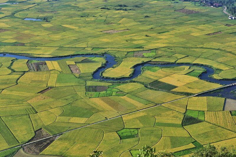 8C5CD466 8600 469A A3F7 BBF1CF20E3DB