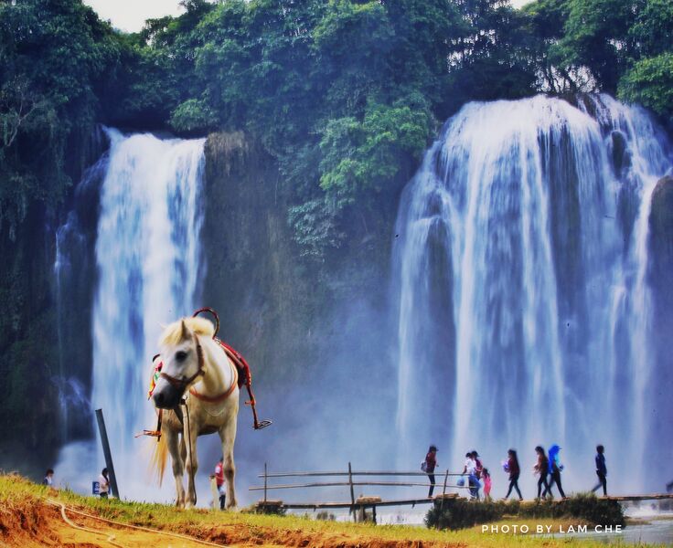 D975A67A 6667 4210 AD30 3E319F6572B0