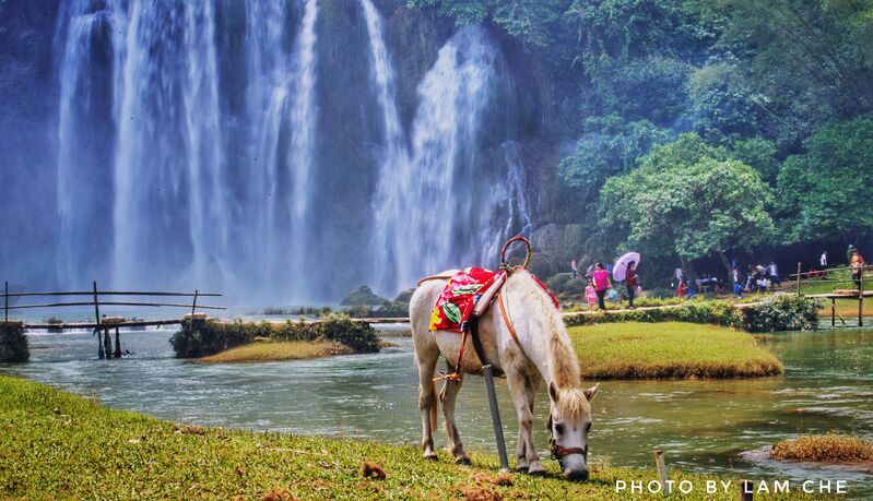 D52B63A1 C3F3 4C70 9704 F69091BFDCD3