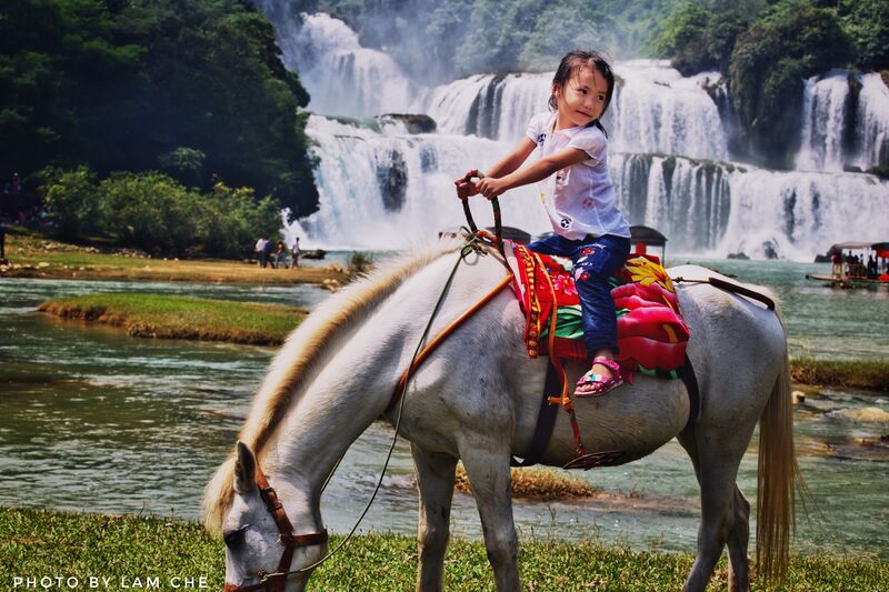 8D509C46 D81E 4731 8298 AA1ACC662B2D