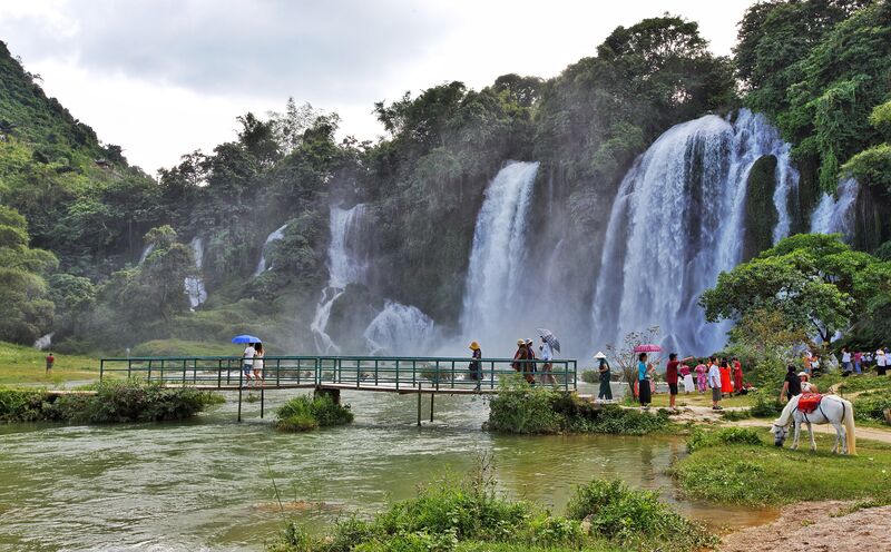 9984872A C7D0 43A8 B1D3 67FA6AC5D135