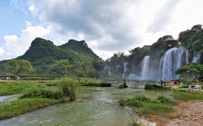 BC66140F 52E9 4B90 9C7D 0B495A8EA775