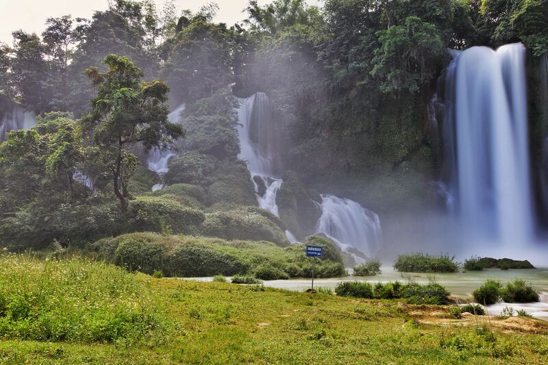 2CE14294 39D1 49A7 8740 0E75D40F9F22