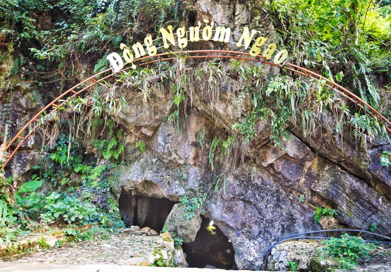 170C4A7C E23B 4DA2 B7A0 869311FD5DB4