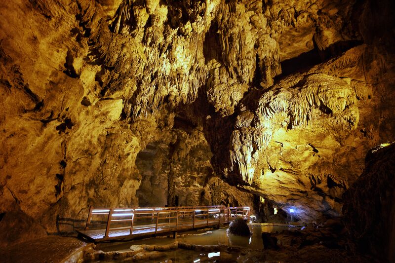 0F955883 7E61 4400 9C0D 164723886F35