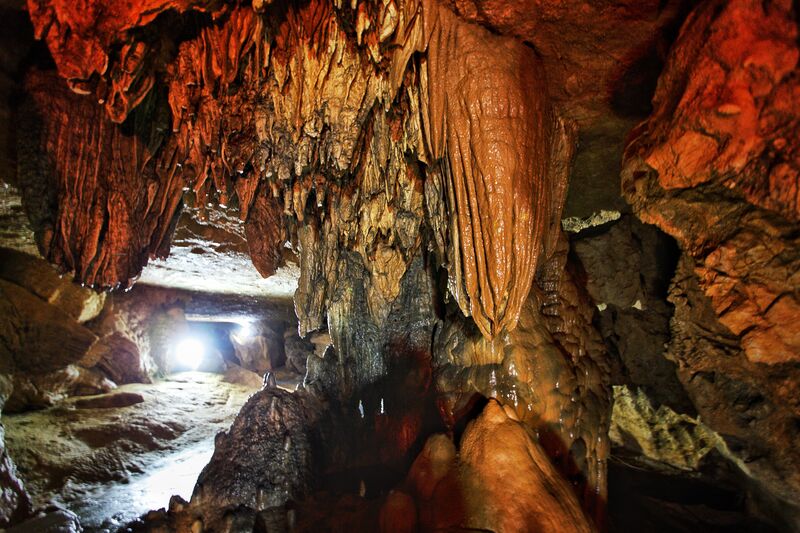 CF6439C1 D595 4777 8493 8D4A12F96F99