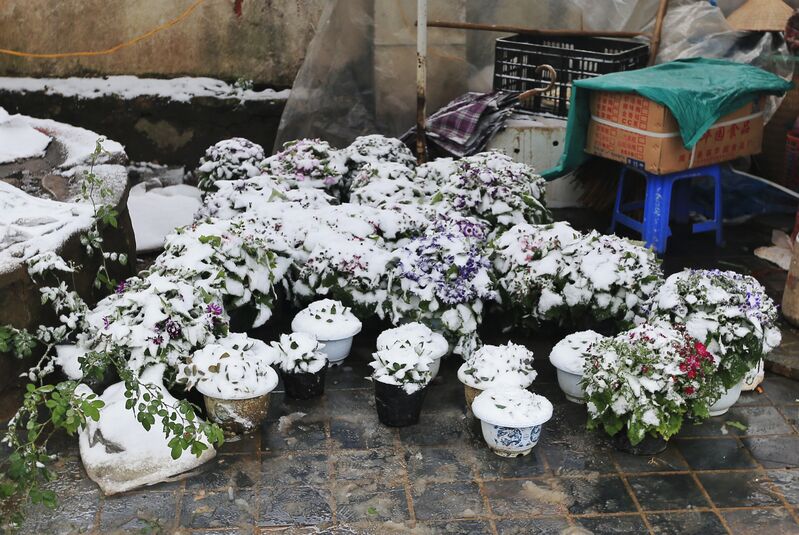 665A500F 6512 4B08 A255 B453B79DB1BB