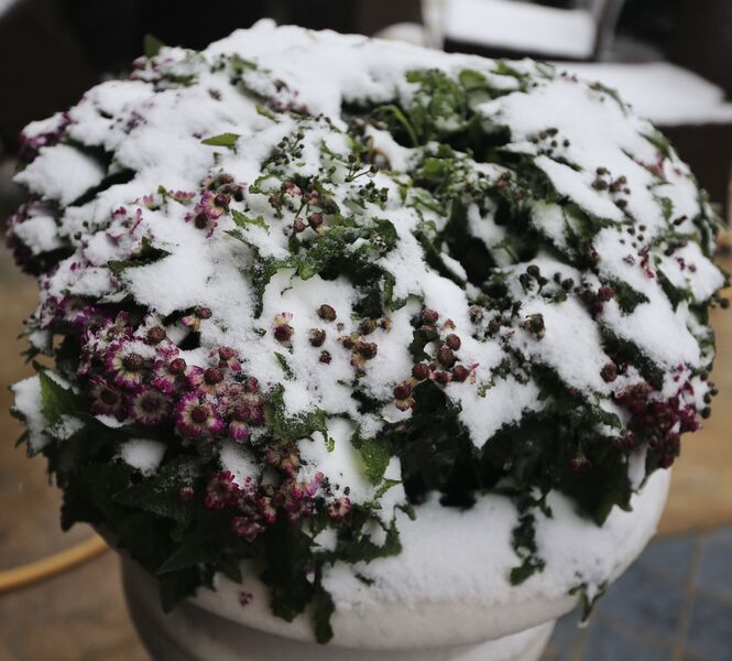 158BE826 3501 4B15 8287 0B7196E59453